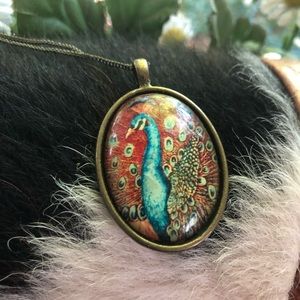 Colorful peacock resin cameo brass setting and chain necklace